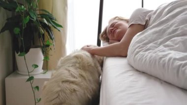 Komik video. Evcil hayvan sevgisi. Büyük beyaz köpek sabahın erken saatlerinde yatak odasında metresi uyandırır.