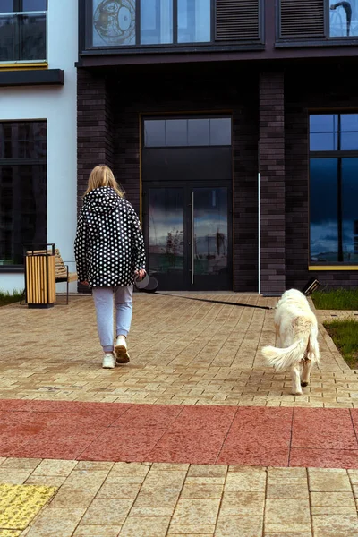 Pandemia de coronavirus en la ciudad. chica caminando un perro golden retriever a lo largo de calles vacías —  Fotos de Stock