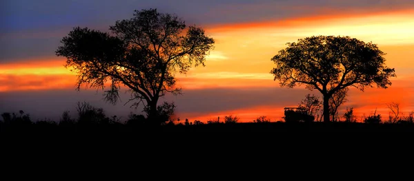 Südafrikanischer Sonnenuntergang — Stockfoto