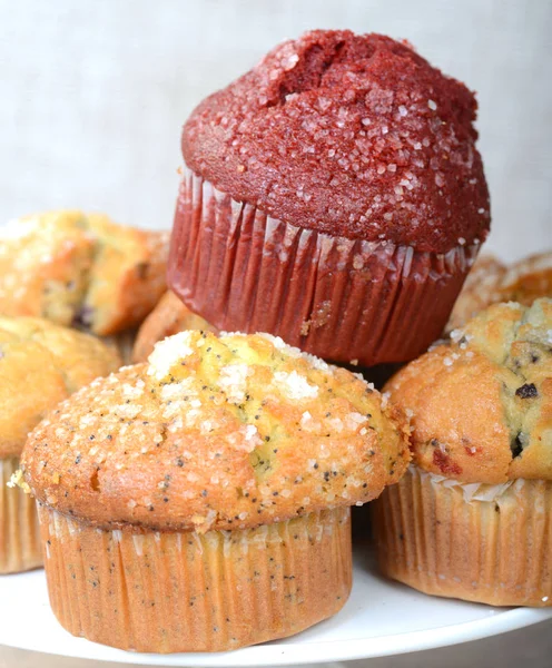 Variety of delicious  muffins — Stock Photo, Image