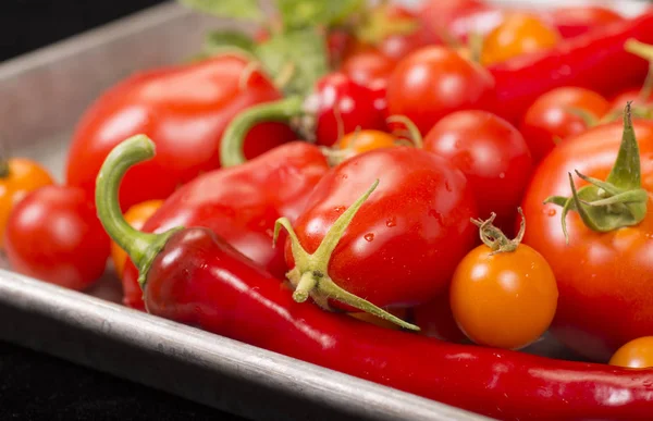 Tomates e produtos hortícolas frescos Fotos De Bancos De Imagens Sem Royalties