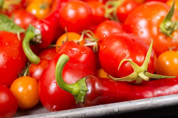 Tomates frescos, ajo, cebolla — Foto de Stock