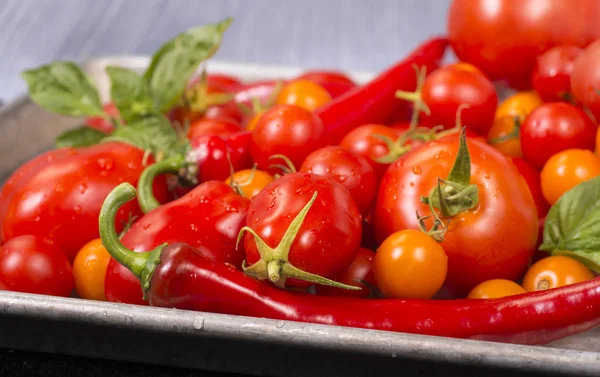 Čerstvá rajčata, česnek, cibule — Stock fotografie