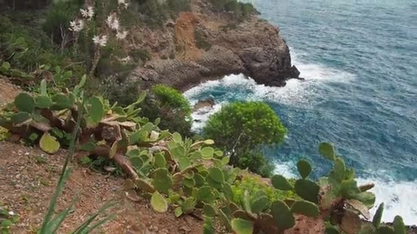 Isole Baleari Mare Infuriato Nel Porto Soller Soller Maiorca Baleari — Video Stock