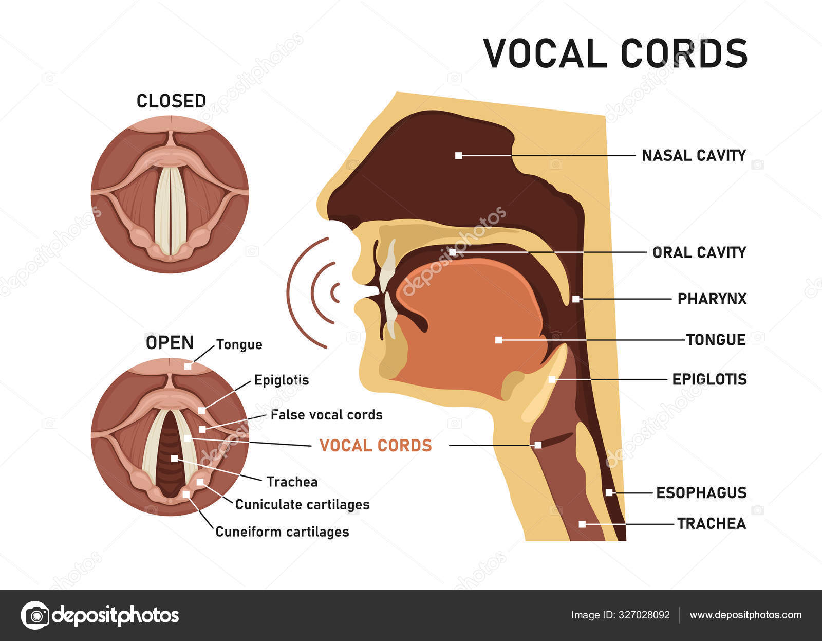 vocal drip 2 preset pack free download reddit