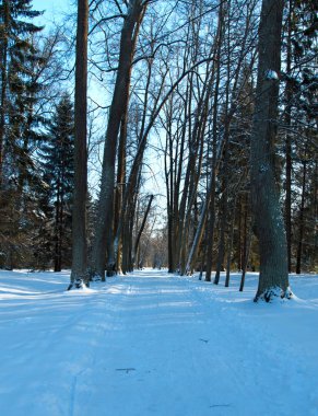 Karla kaplı sokakta park