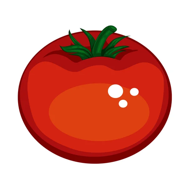 Tomate aislado sobre fondo wight — Vector de stock