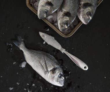 Karanlık bir arka plan üzerinde taze dorado balık.