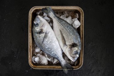 Karanlık bir arka plan üzerinde taze dorado balık.