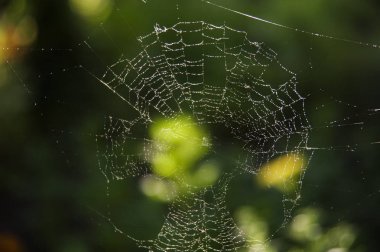 Köyün yağmur sırasında Web.