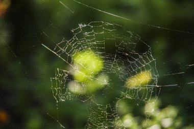 Köyün yağmur sırasında Web.