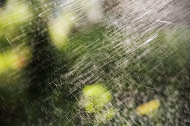 Köyün yağmur sırasında Web.