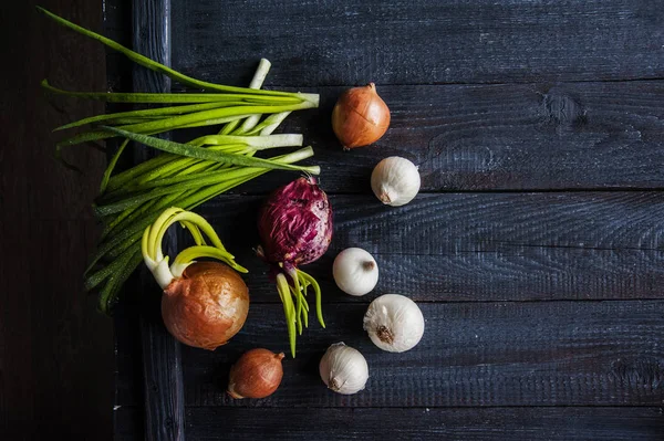 Onion, onion green, onion white, onion red on a dark wooden background.