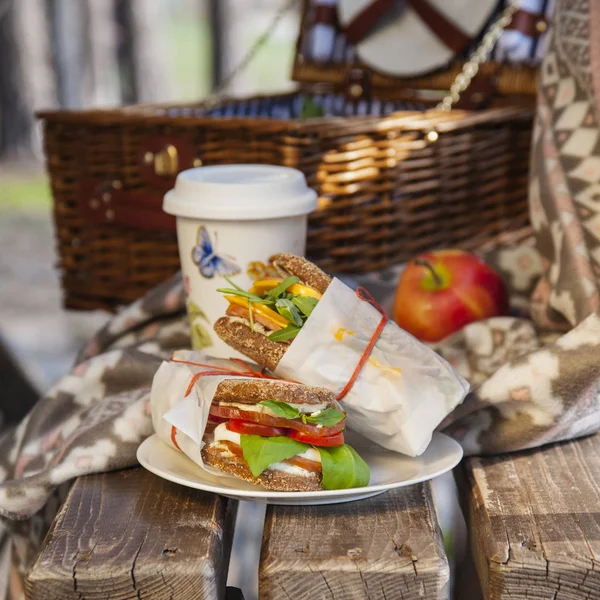 Picnic in the nature with sandwiches, juice and apples.