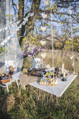 Doğada romantik piknik.