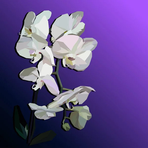 Witte geometrische orchid — Stockvector