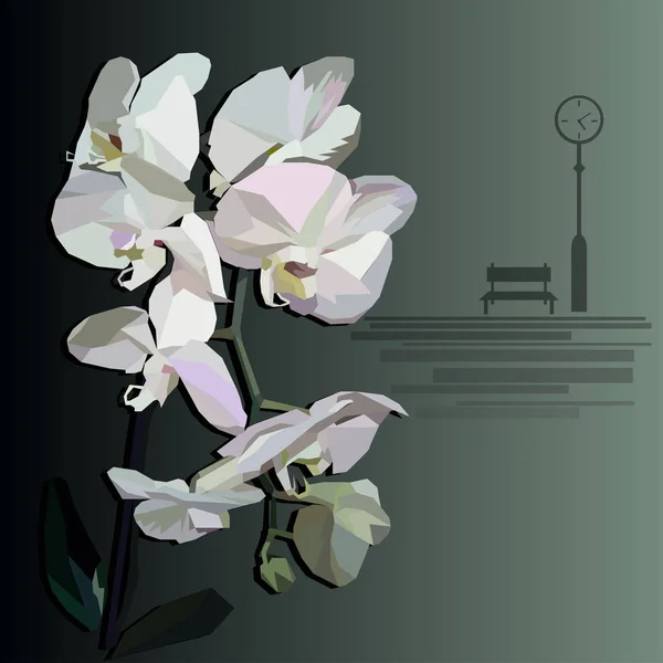 Vektor orchidea egy padon és köztéri óra az előtérben — Stock Vector