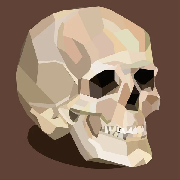Векторный череп на коричневом фоне — стоковый вектор