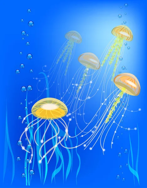Vektorillustration mit einer Gruppe Quallen. Blase und Algen — Stockvektor