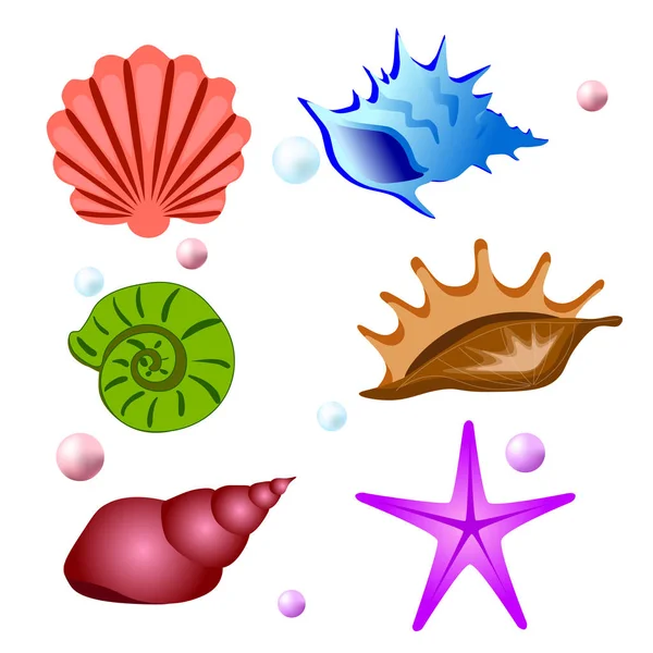 Mar conchas coleção de símbolos. Conjunto de vetores — Vetor de Stock