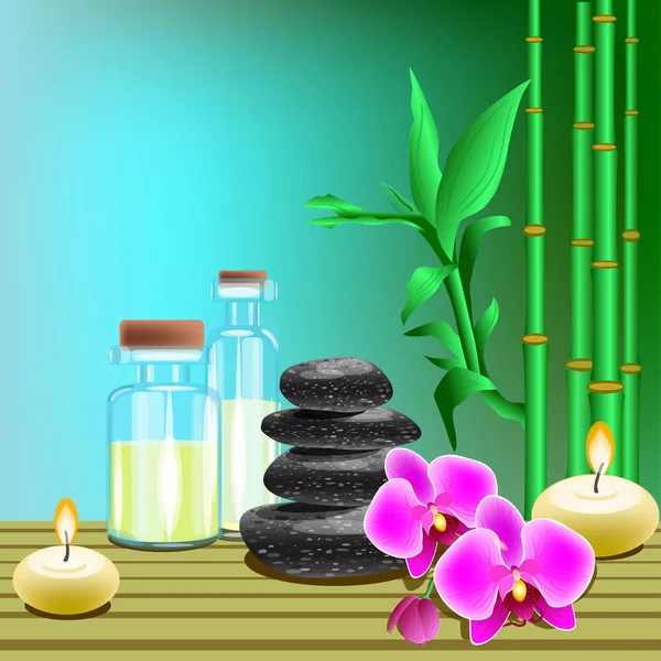 Vektorillustration av spa-produkter på färgad bakgrund — Stock vektor