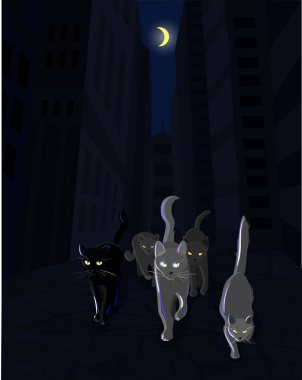 Kedi Mafya çete karanlık cadde boyunca yürüyüş