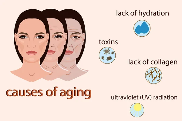 Orsakerna till åldrande, vektorillustration med två ansikten och små bilder — Stock vektor