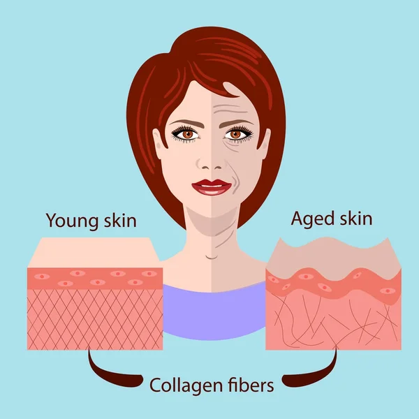 Visage vectoriel et deux types de peau - âgés et jeunes pour les photos médicales et cosmétologiques — Image vectorielle