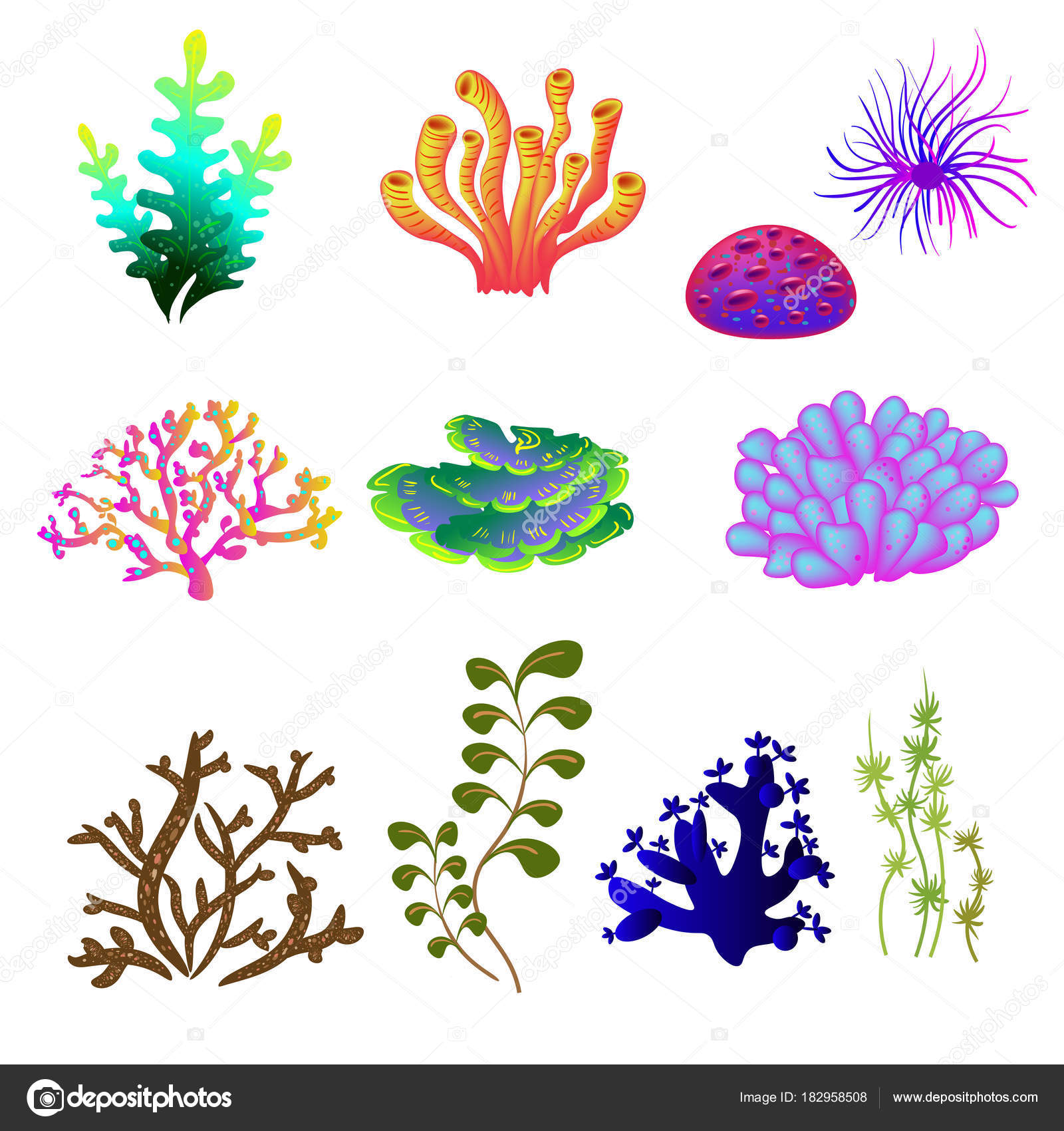 Vector set of underwater plants. Underwater plant, ocean and sea plant