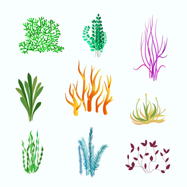 Vector set onderwater planten. Onderwater planten, Oceaan en zee planten voor aquarium — Stockvector