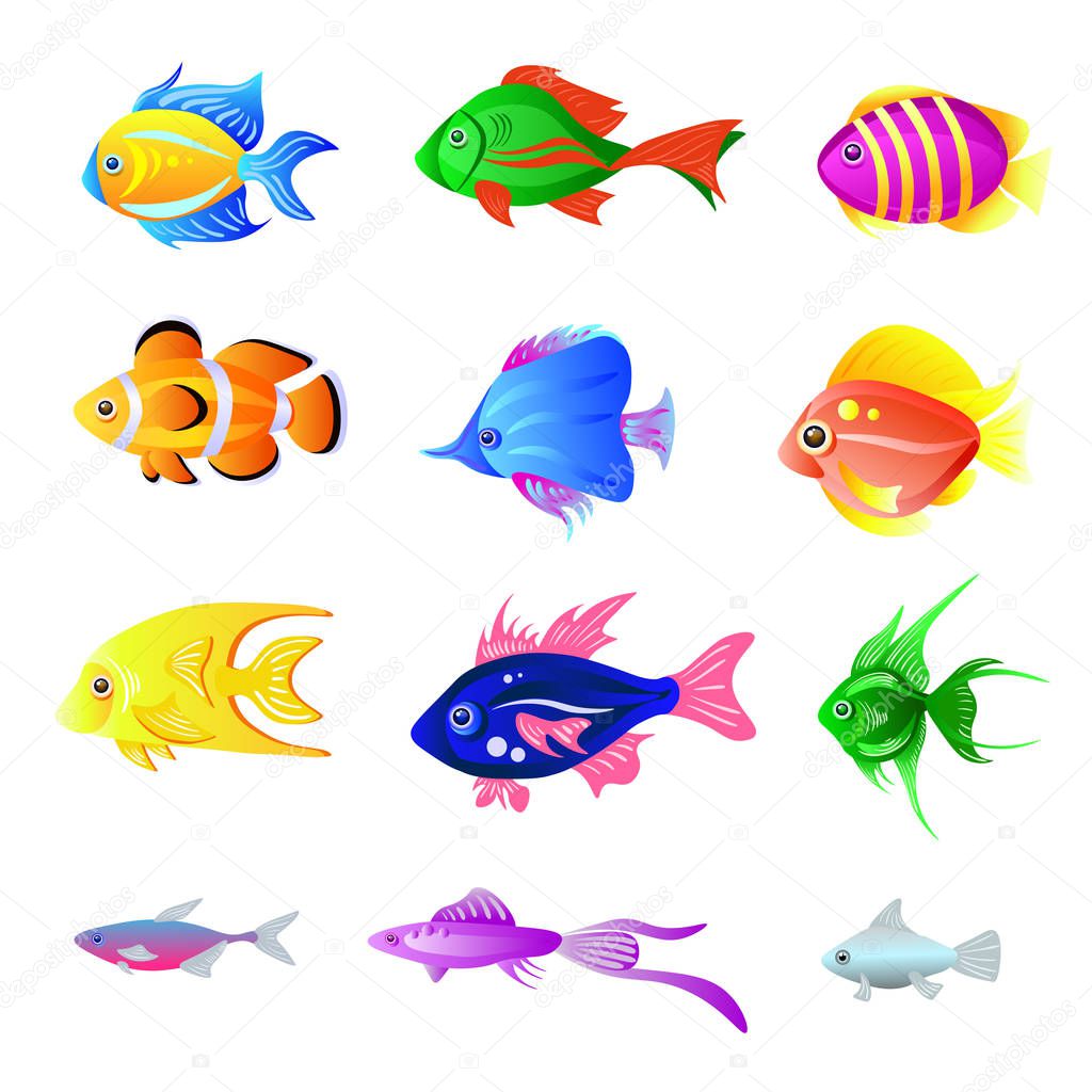 Vector set of bright fish isolated on the white