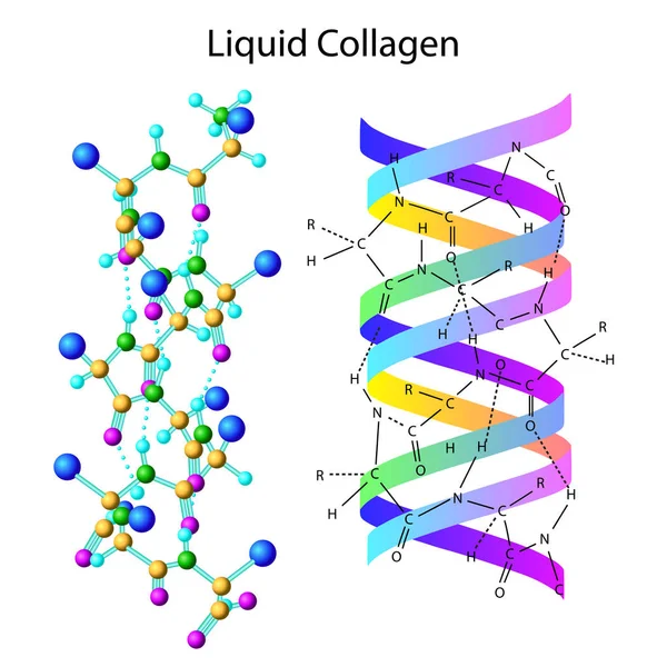 Ilustración vectorial con fórmula de colágeno liqid aislada — Archivo Imágenes Vectoriales