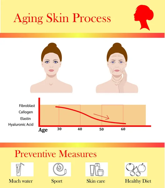 Starzenie się skóry procesu i zapobiegawcze tipps, ilustracji wektorowych — Wektor stockowy