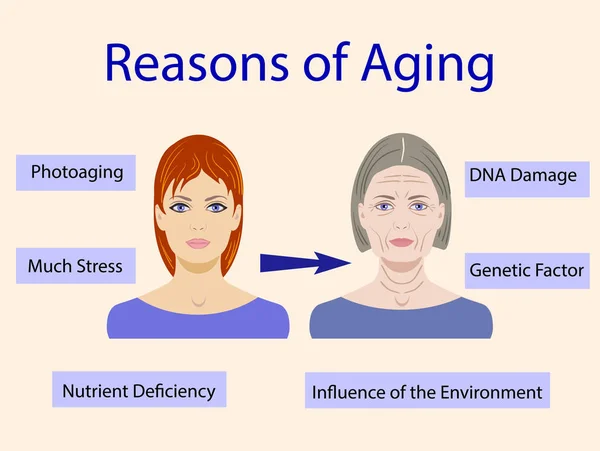 Causes du vieillissement, illustration vectorielle à deux faces isolées — Image vectorielle