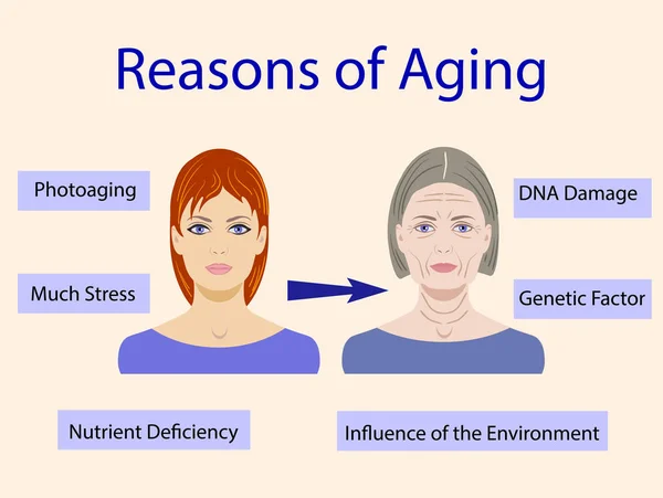 Ursachen der Alterung, Vektorillustration mit zwei isolierten Gesichtern — Stockvektor