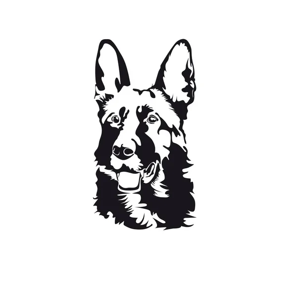 La tête d'un chien. Image vectorielle noir et blanc . — Image vectorielle