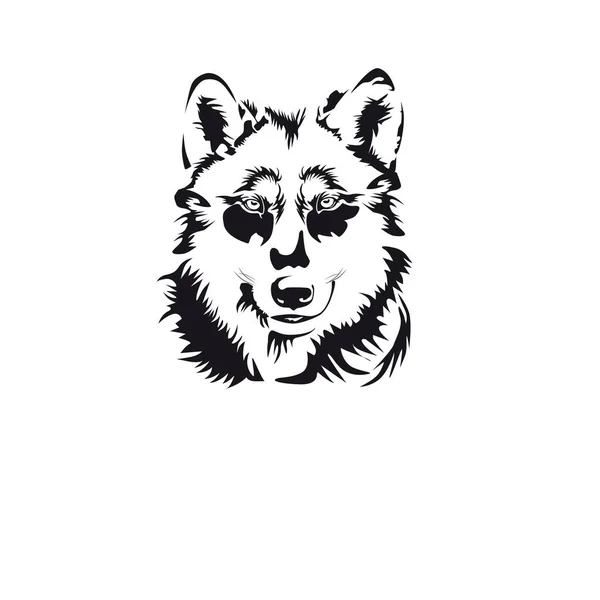 La tête d'un loup. Un beau logo. Illustration vectorielle . — Image vectorielle