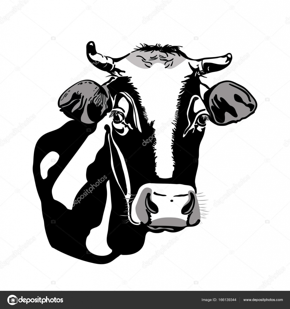 Cow Head Black And White