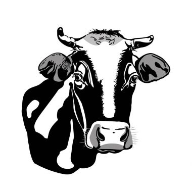 İnek kafası, siyah ve beyaz siluet.