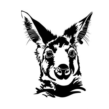 Bir kanguru başkanı. Siyah beyaz görüntü. Vektör