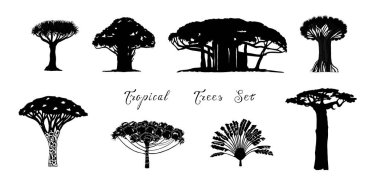 Set of tropical vector trees clipart