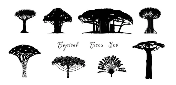 Conjunto de árboles vectoriales tropicales — Vector de stock