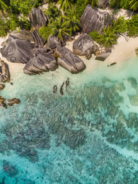 Letecký snímek Seychely pláže v La Digue — Stock fotografie