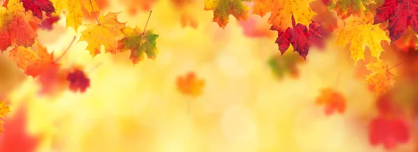 Jesień streszczenie tło z spadających liści — Zdjęcie stockowe