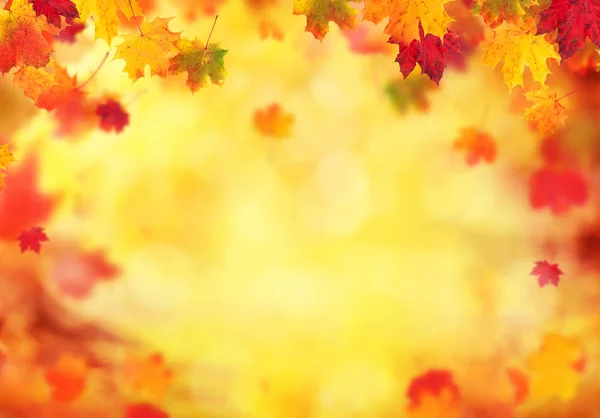Autumn abstract background with falling leaves — Stock Photo, Image