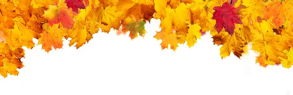 Herfst abstracte achtergrond met vallende bladeren — Stockfoto