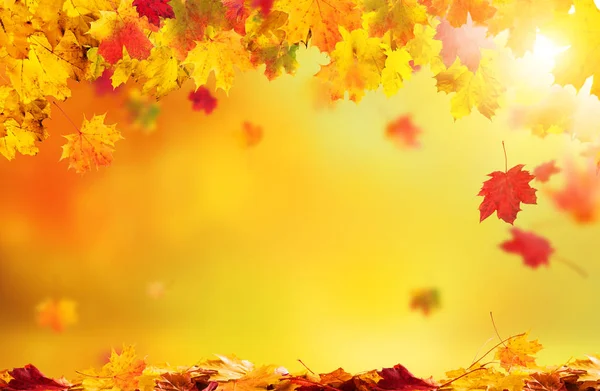 Autumn abstract background with falling leaves — Stock Photo, Image