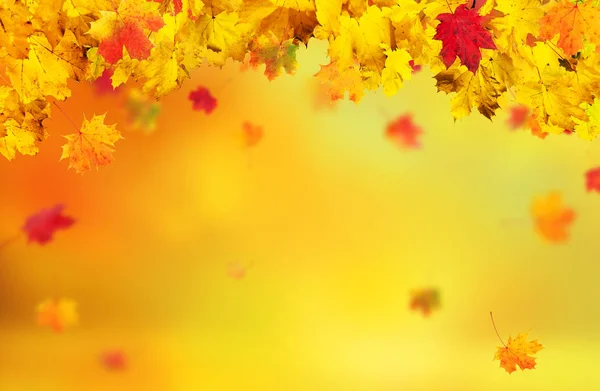 Outono fundo abstrato com folhas caindo — Fotografia de Stock