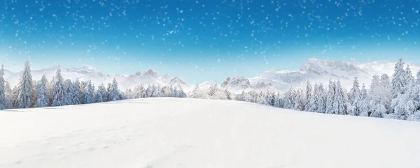 Bellissimo paesaggio invernale con alberi — Foto Stock