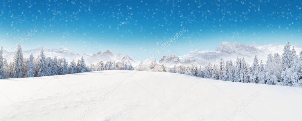 Beautiful winter landscape with trees